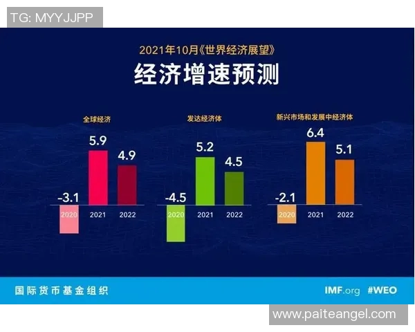 新加坡与印尼的经济竞争与合作关系探讨及未来发展前景分析