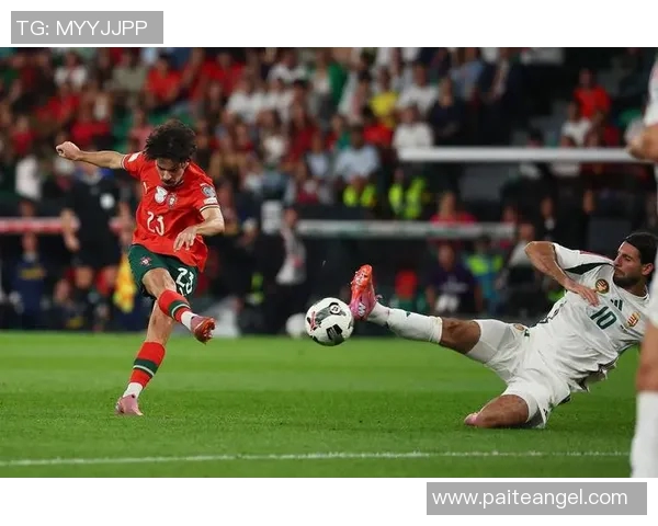 匈牙利与葡萄牙足球对决深度分析及比赛展望