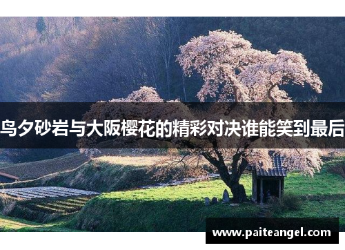 鸟夕砂岩与大阪樱花的精彩对决谁能笑到最后